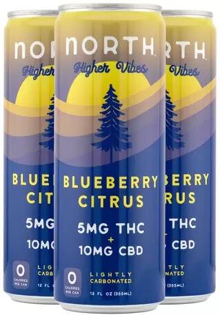 North Higher Vibes Blueberry Citrus 4pk Cans